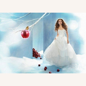 Strapless Embroidery Crystal Floor-Length Misses Luxury Wedding Dresses