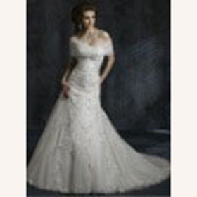 Gorgeous Lace Up Fashionable Fngth Sleveeless Watteau Train Wedding Dresses