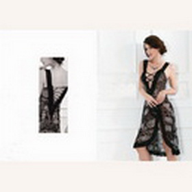 Cute Sexy Nylon Embroidery Costume Chemise Set