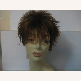 Non-Remy Lace Front 10 inch Synthetic Wigs