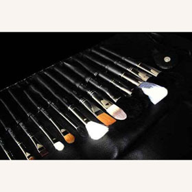 Free Shipping Top Selling C.P.C 24pcs Professional Makeup Brush Set + Brush Roll