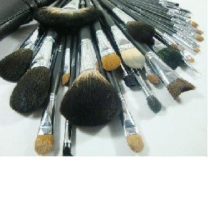 Free Shipping Wholesale - New 30 pieces PROFESSIONAL MAKEUP Make up BRUSH Brushes