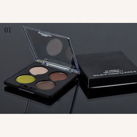 Free shipping! wholesale NEW 4 color eyeshadow Palette 6g(50 pcs /lot)