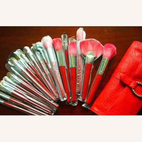 21 Piece Professional Master Makeup Brush Set free shipping