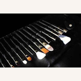 Free Shipping Top Selling C.P.C 24pcs Professional Makeup Brush Set + Brush Roll