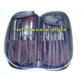 Free Shipping!newest 11 Pieces/set Professional Brush with number Kit and leather Pouch(20pcs/lot)