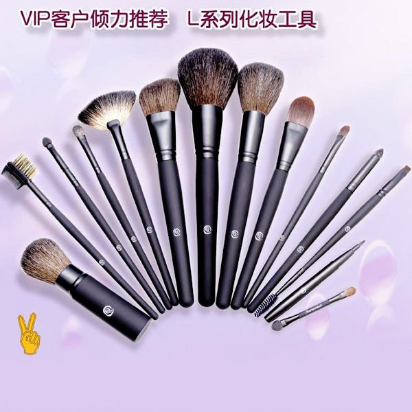 Free Shipping Brand New 21PCS Professional Makeup Brush Set + Brush Roll(TB016)