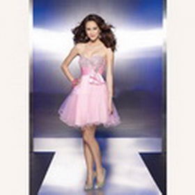 Chiffon Knee-length Mini Skirt Sexy Costumes