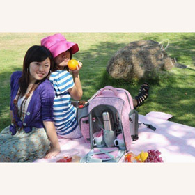 22L Mesh Shoulders Picnic Bag for Two Person