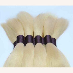 White Silky Straight Wave European Human Hair bulk
