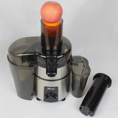 Electric 500-Watt Variable-Speed Stainless Steel Juicer