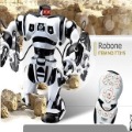 Remote Control RC Robot Toy Humanoid Infrared Robot / RoboSapien